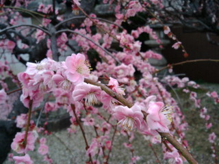 四天王寺 四天王寺