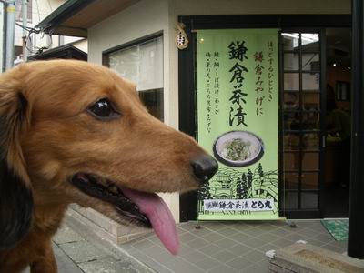 大巧寺