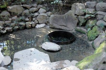 明治神宮