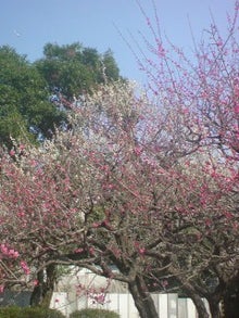 日比谷公園