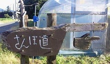 さんぽ道