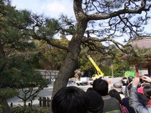 鶴岡八幡宮