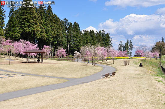 夏休みは日光へ 日光で子連れで楽しめるオススメスポット パート 日光で民泊を営むオーナーのブログ