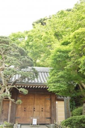 鎌倉の座禅 写経 写仏など禅体験ができる寺院