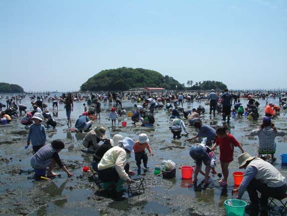 東海 中部潮干狩り 愛知 静岡 三重 石川 富山